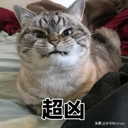 无线网网速慢怎么解决（WiFi网速慢的原因及解决方法）(1)
