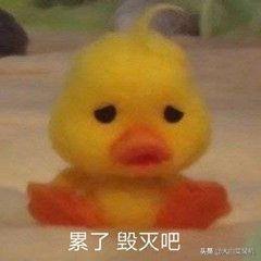 手机哪些文件夹可以放心删除（手机内存不足只需删除这5个文件夹）(2)