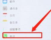 苹果呼叫转移如何设置（苹果手机设置呼叫转移的操作方法）(1)