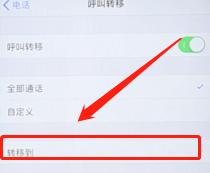 苹果呼叫转移如何设置（苹果手机设置呼叫转移的操作方法）(4)