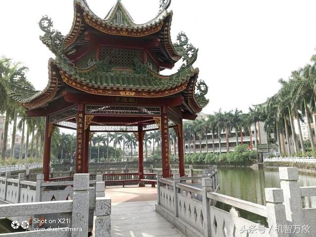 vivox21i参数配置(vivox21i现在值得入手吗)(24)
