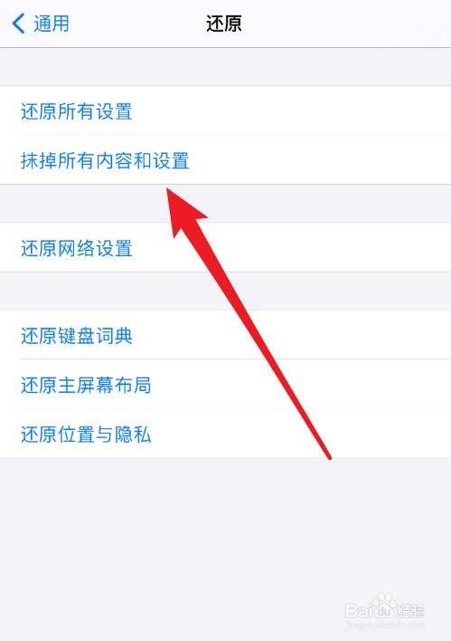 手机屏幕上有一条竖线怎么办（iphone手机出现线条解决方法）(2)