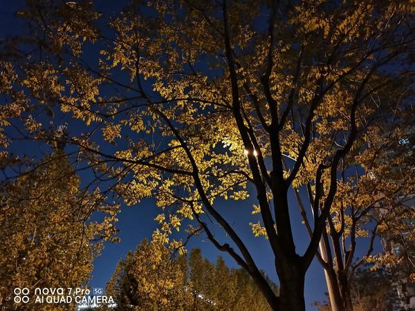 nova7pro参数配置（华为nova 7pro5g值得买吗）(21)