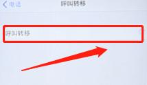 苹果呼叫转移如何设置（苹果手机设置呼叫转移的操作方法）(3)
