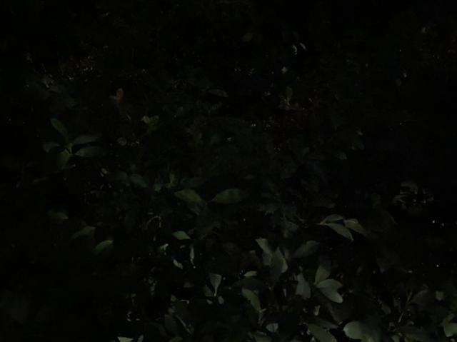 华为mate30rs值得买吗（mate 30 rs 保时捷设计评测）(22)
