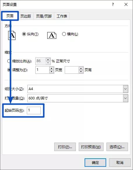 excel怎么设置页码（Excel页码设置的操作小技巧）(13)