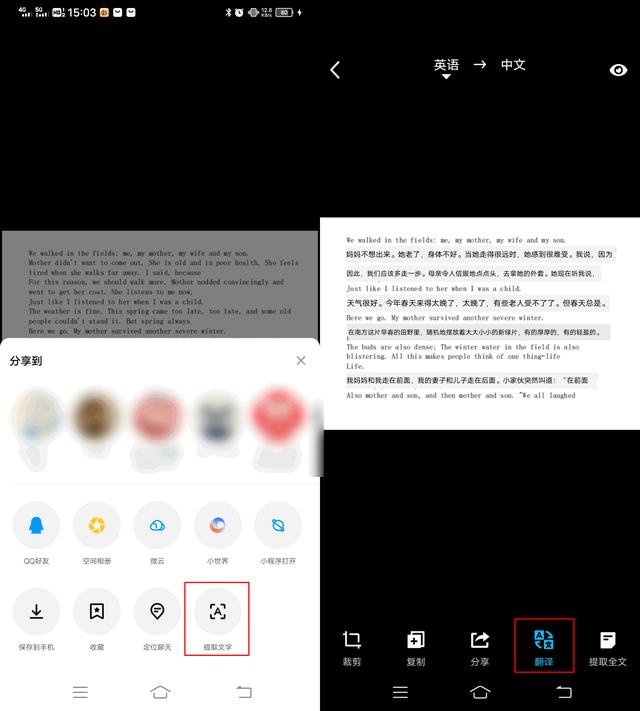 word翻译整个文档怎么操作（翻译word文档的简单方法）(8)