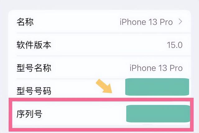 国行苹果手机序列号查询方法（iphone 13 pro 序列号怎么看）(4)