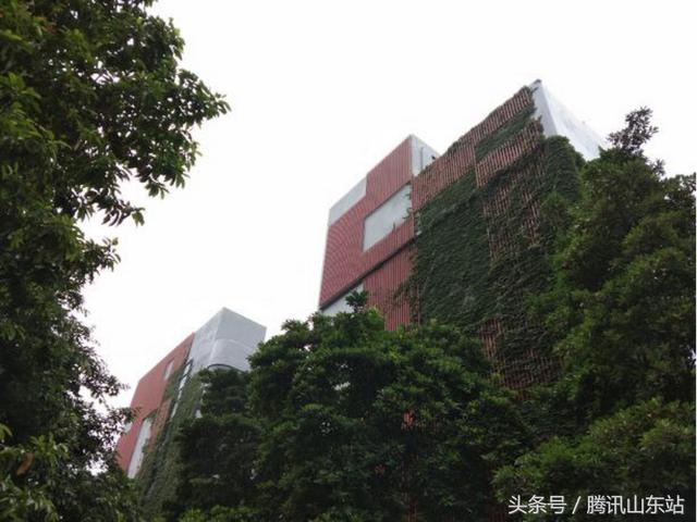 vivoy71参数配置(vivoy71值得入手吗)(12)