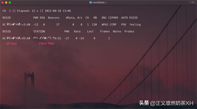 如何设置wifi密码（wifi密码设置方法大全）(4)