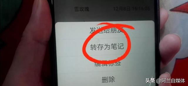 微信怎么把语音转发给别人（微信语音转发最简单方法）(3)