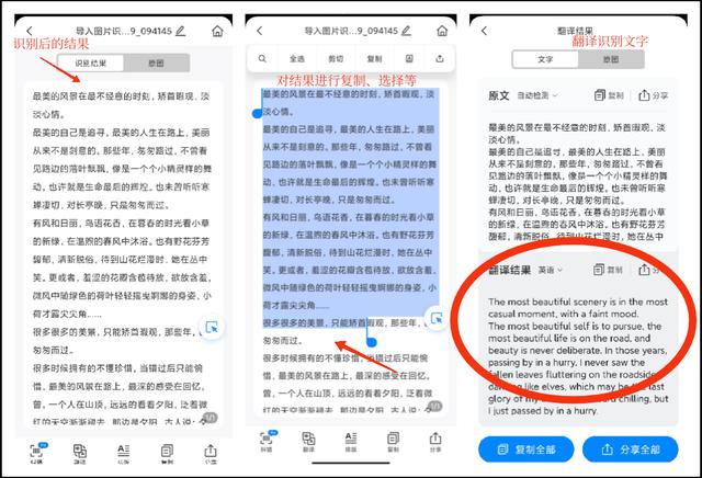 华为怎么识别图片文字内容(华为手机文字识别工具推荐)(4)