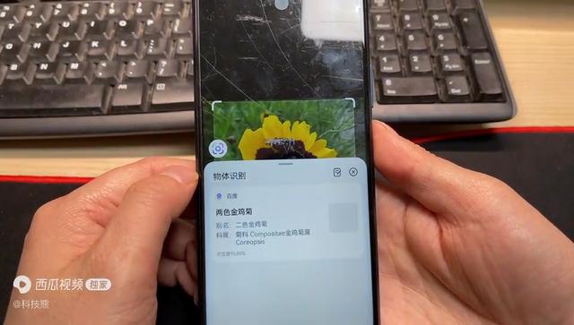 华为手机智慧识屏怎么开启（智慧识屏隐藏着的5个实用功能）(8)