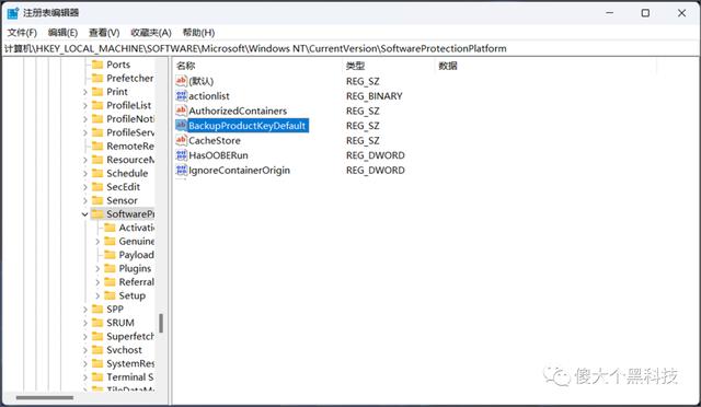 win11电脑序列号怎么查询(查看 Windows11 安装密钥的方法)(5)
