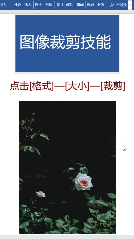word怎么抠图（抠图最快又完整的方法）(2)