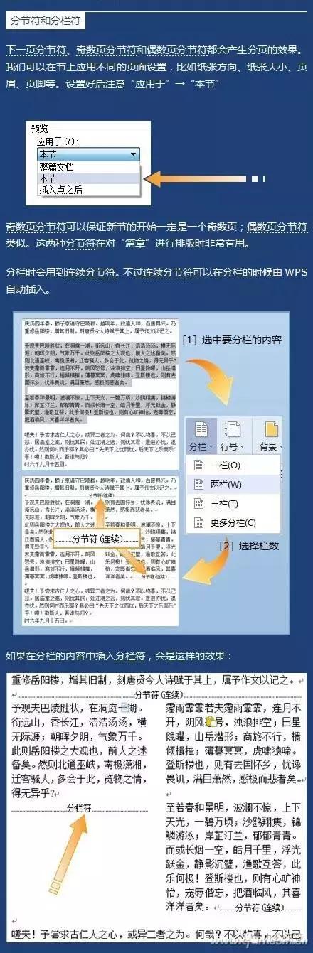 word怎么设置分隔符（分隔符的正确使用方法）(3)
