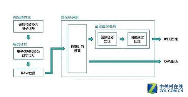 raw和jpg有什么区别（相机拍照raw好还是jpg好）(1)