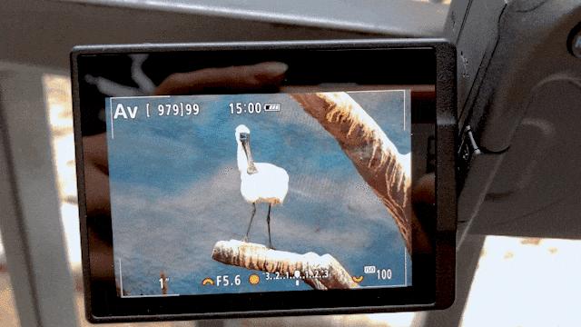 佳能eosr6参数配置(佳能eosr6值得入手吗)(7)