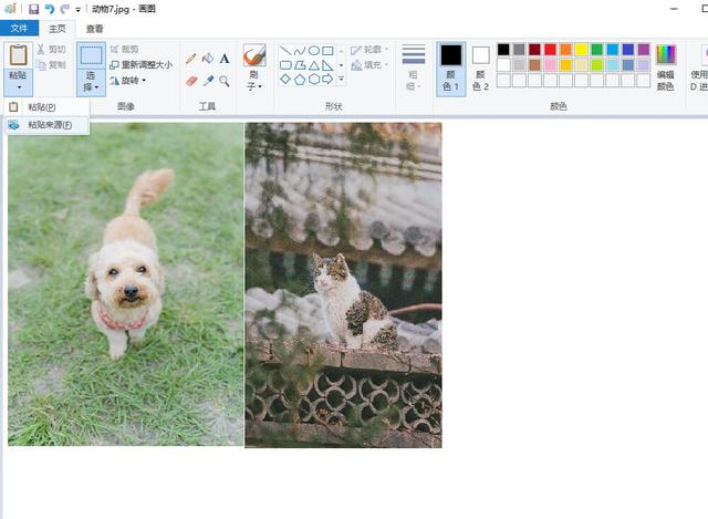 合成照片怎么制作（快速将多张照片合并成一张的方法）(3)