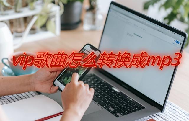 如何将vip歌曲转化为mp3（将vip格式的音频转换成MP3格式的方法）(1)