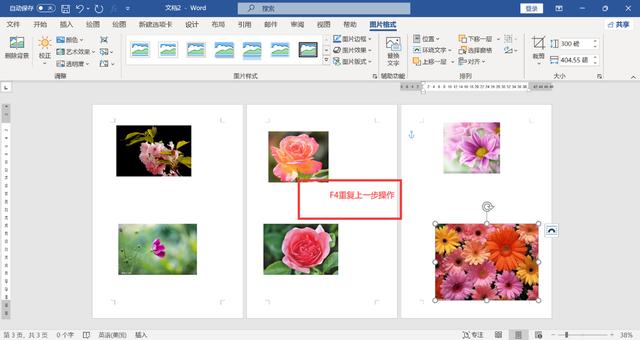 word页面怎么调整大小(WORD文档里快速调整图片的尺寸方法)(8)