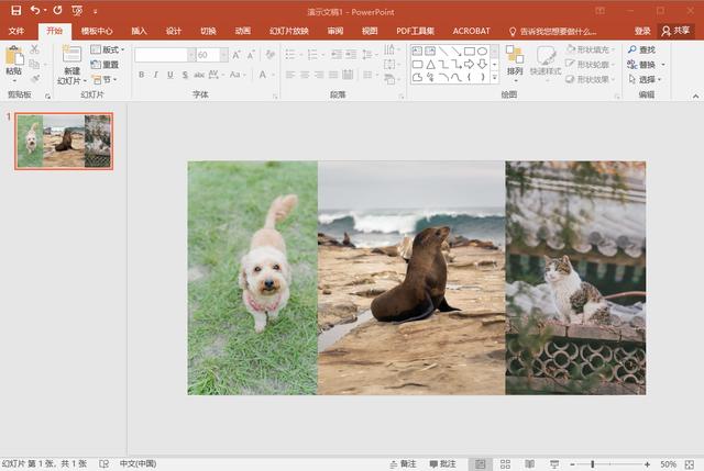 合成照片怎么制作（快速将多张照片合并成一张的方法）(5)