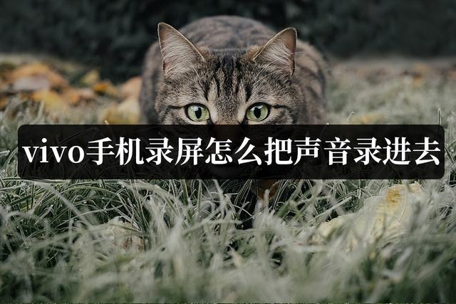 vivo手机录屏怎么把声音录进去（vivo手机录屏有声音的详细操作步骤）(1)