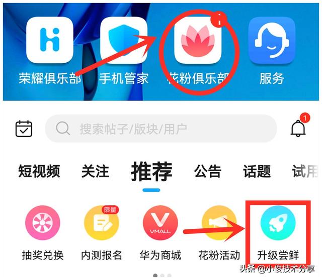 荣耀手机怎么升级鸿蒙系统（华为手机升级鸿蒙系统的3种操作方法）(4)