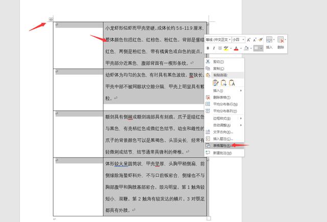 word图片怎么排版整齐(word图文混排技巧大全)(4)
