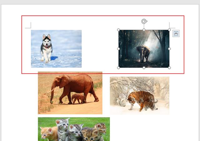 word批量调整图片大小的方法（Word中图片如何统一修改大小）(5)