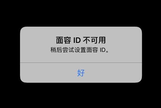 无法在此iphone激活面容id咋办（苹果手机无法激活面容id解决方法）(1)