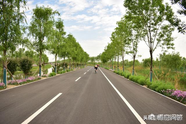 ps怎么换背景（ps照片换背景最简单方法）(1)