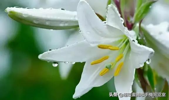 用五笔怎么打（五笔输入法操作方法）(5)