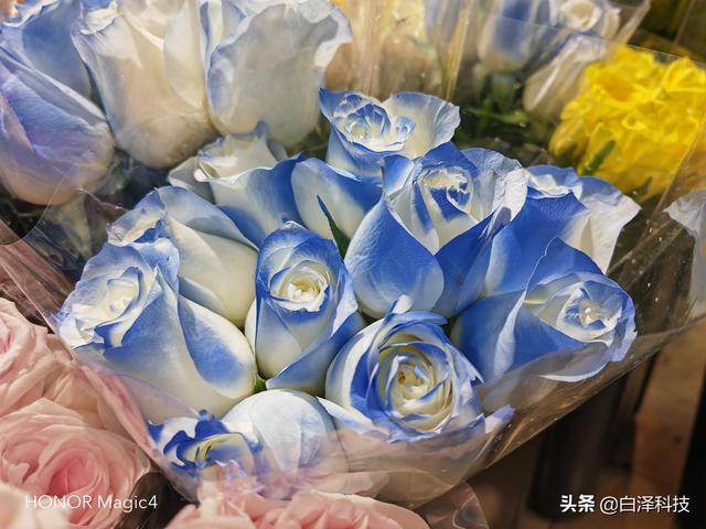 荣耀手机magic4怎么样（荣耀Magic4深度体验）(31)