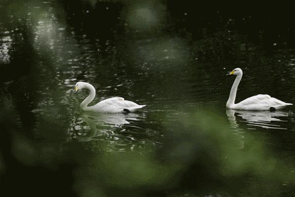 佳能eosr6参数配置(佳能eosr6值得入手吗)(10)