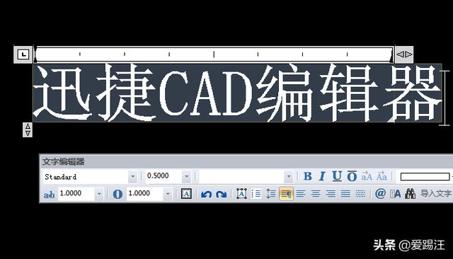cad怎样输入文字（在CAD中输入文字内容的技巧）(8)