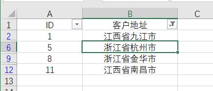 excel怎么筛选出指定内容(Excel关于筛选的4个实用小技巧)(6)