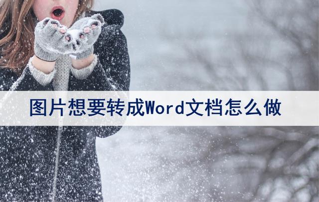怎么把图片转换成word文档格式(图片转word最简单方法)(1)