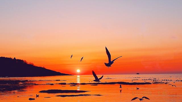 抖音视频怎么上热门（抖音短视频上热门的方法技巧）(1)