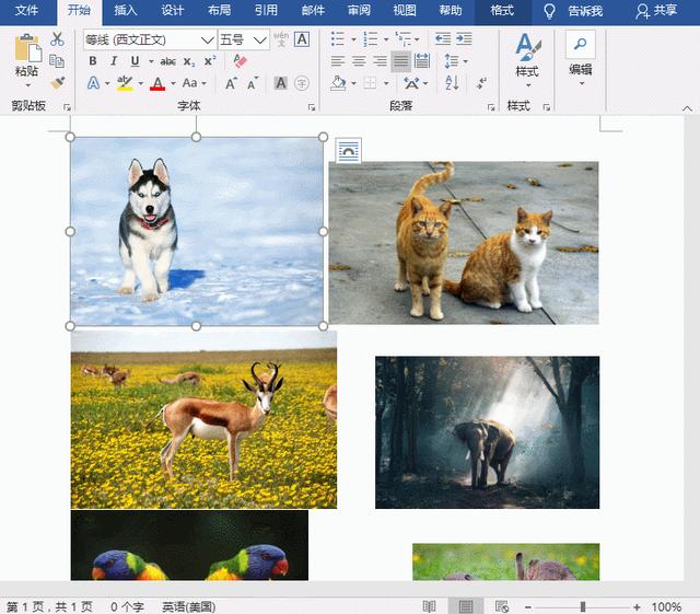 word批量调整图片大小的方法（Word中图片如何统一修改大小）(7)