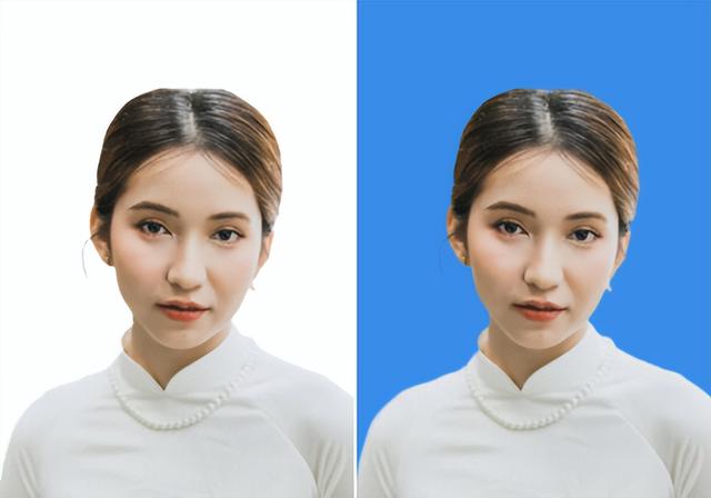 图片换底色怎么弄（证件照换底色最简单办法）(4)