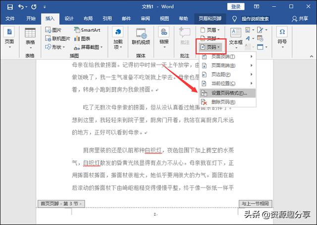 word怎样设置页码（word页码设置技巧大全）(6)