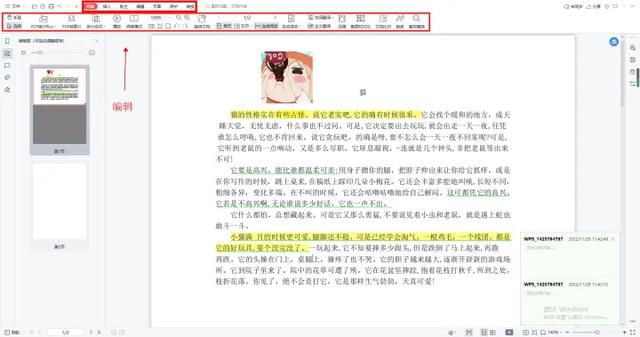 pdf怎么修改（三种好用的修改PDF的方法）(2)