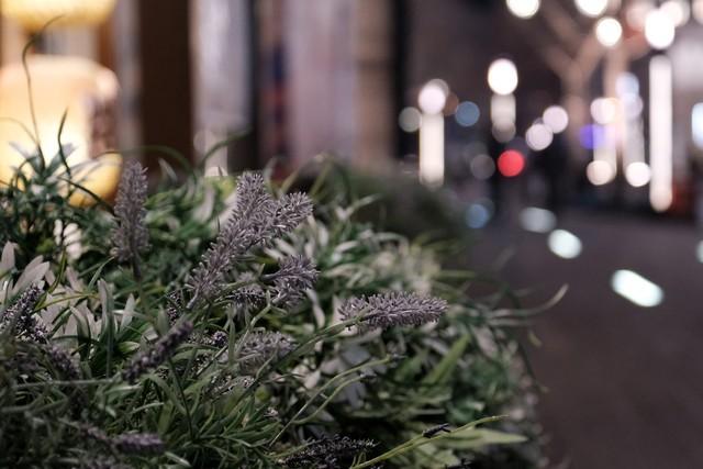 富士xt4参数配置(富士X-T4无反相机评测)(39)