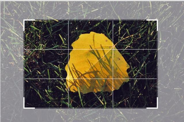 apsc和全画幅的区别有多大(全幅相机和apsc画幅哪个好)(1)