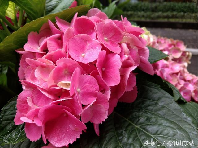 vivoy71参数配置(vivoy71值得入手吗)(10)