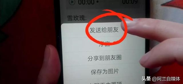 微信怎么把语音转发给别人（微信语音转发最简单方法）(4)