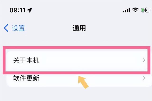 国行苹果手机序列号查询方法（iphone 13 pro 序列号怎么看）(3)