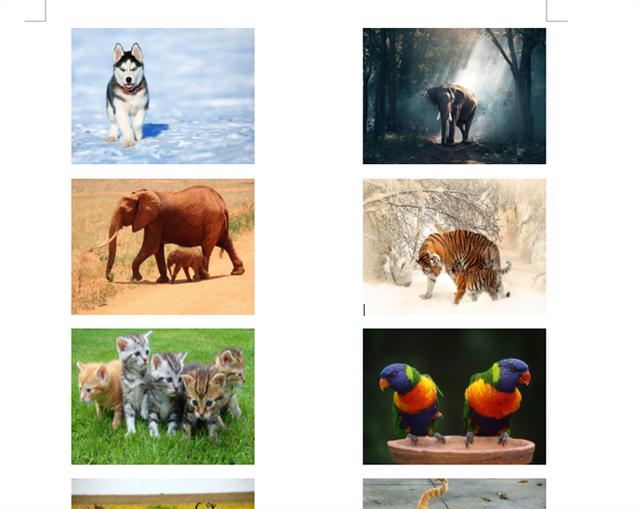 word批量调整图片大小的方法（Word中图片如何统一修改大小）(6)