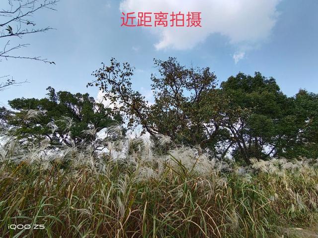 vivoiqooz5手机怎么样（vivoiqooz5值不值得入手）(6)